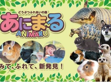 【毎日開催】屋内で、動物たちとのふれあいを楽しもう♪